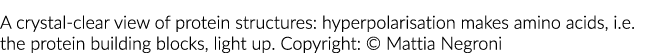 A crystal-clear view of protein structures: hyperpolarisation makes amino acids, i e  the protein building blocks, li   