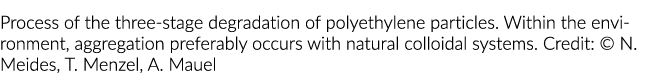 Process of the three-stage degradation of polyethylene particles  Within the environment, aggregation preferably occu   