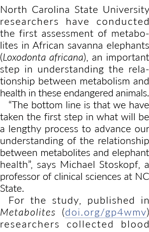 North Carolina State University researchers have conducted the first assessment of metabolites in African savanna ele   