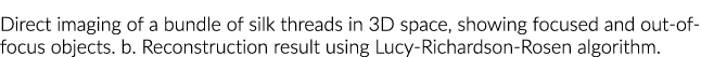 Direct imaging of a bundle of silk threads in 3D space, showing focused and out-of-focus objects  b  Reconstruction r   