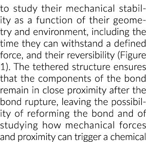 to study their mechanical stability as a function of their geometry and environment, including the time they can with   