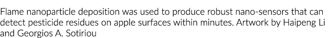 Flame nanoparticle deposition was used to produce robust nano-sensors that can detect pesticide residues on apple sur   
