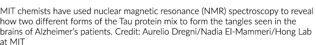 MIT chemists have used nuclear magnetic resonance (NMR) spectroscopy to reveal how two different forms of the Tau pro   