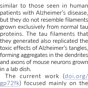 similar to those seen in human patients with Alzheimer s disease, but they do not resemble filaments grown exclusivel   