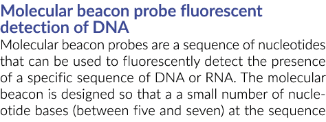 Molecular beacon probe fluorescent detection of DNA Molecular beacon probes are a sequence of nucleotides that can be   