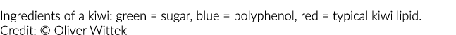 Ingredients of a kiwi: green = sugar, blue = polyphenol, red = typical kiwi lipid. Credit: © Oliver Wittek