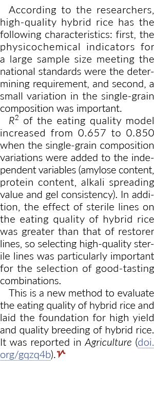 According to the researchers, high quality hybrid rice has the following characteristics: first, the physicochemical ...