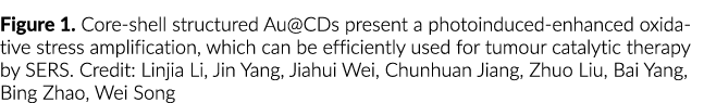 Figure 1. Core shell structured Au@CDs present a photoinduced enhanced oxidative stress amplification, which can be e...