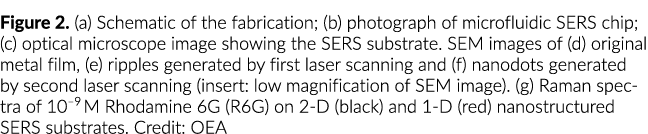 Figure 2. (a) Schematic of the fabrication; (b) photograph of microfluidic SERS chip; (c) optical microscope image sh...