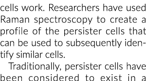 cells work. Researchers have used Raman spectroscopy to create a profile of the persister cells that can be used to s...