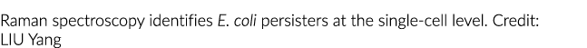 Raman spectroscopy identifies E. coli persisters at the single cell level. Credit: LIU Yang