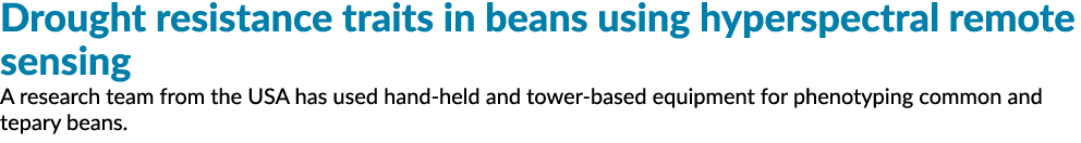 Drought resistance traits in beans using hyperspectral remote sensing A research team from the USA has used hand held...