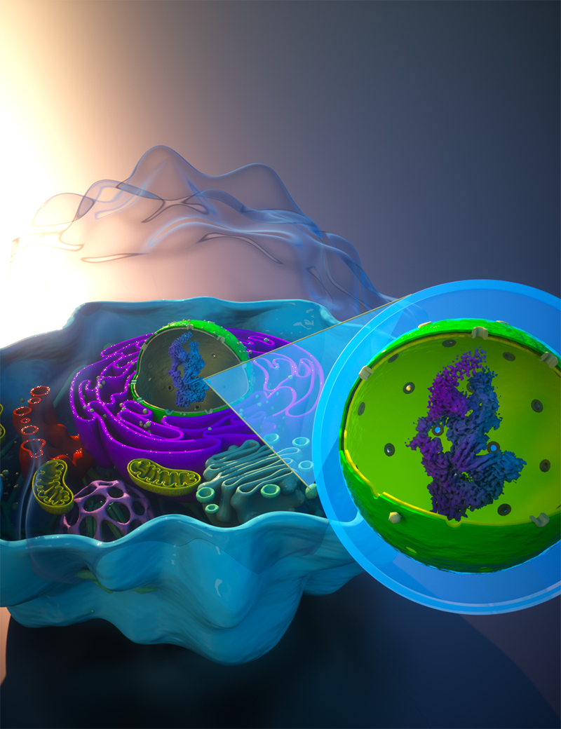 AP-MS probes protein–protein interactions | Spectroscopy Europe/World