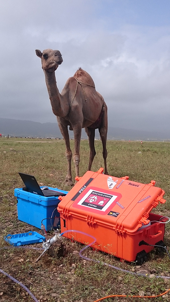 Portable mass spectrometer allows onsite gas analysis Spectroscopy