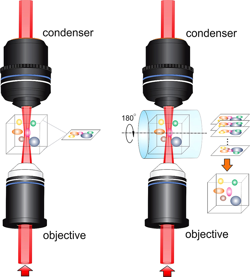 Raman imaging with Bessel beam enables deeptissue imaging