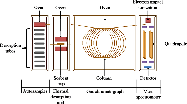 gas chromatography mass spectrometry analysis