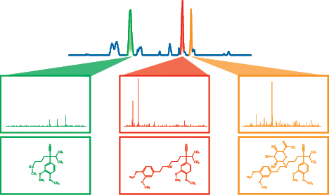A new software solution for efficient, comprehensive metabolite ...