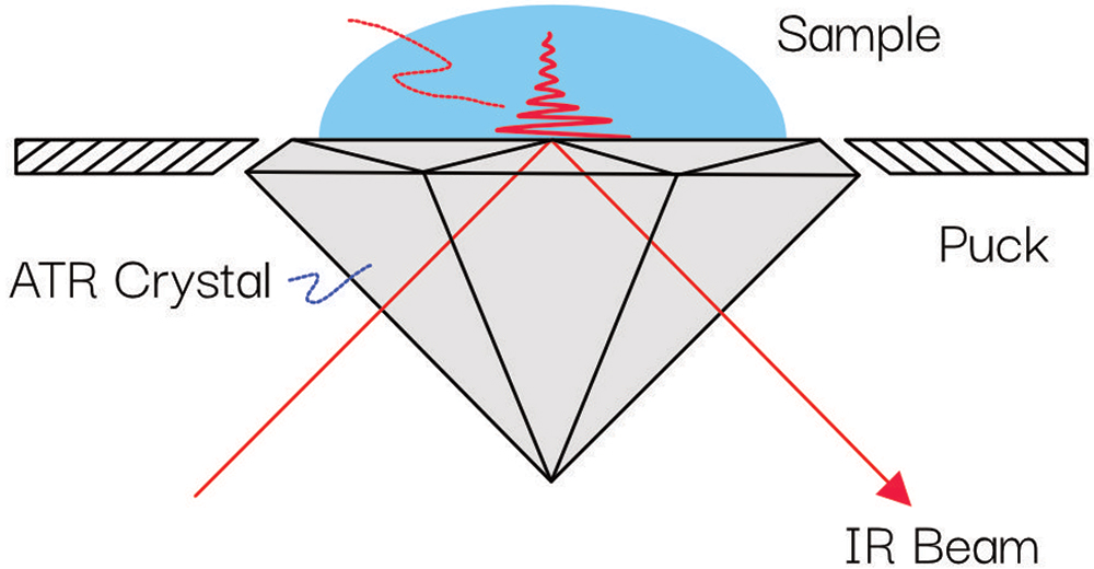 Basics of ATR spectroscopy Spectroscopy Europe/World
