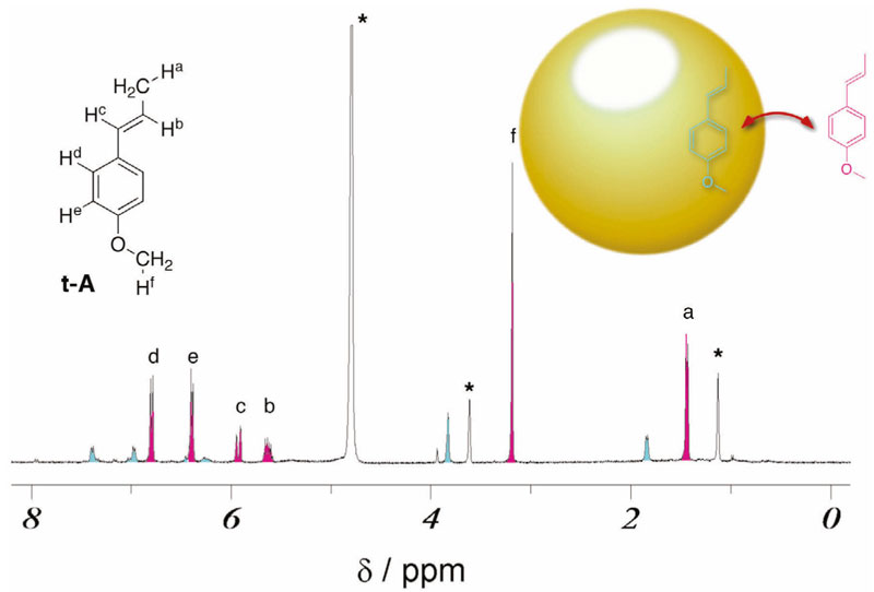A toast to dynamic NMR spectroscopy towards a better comprehension of