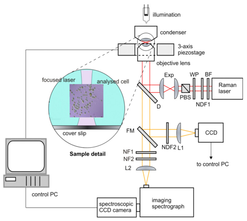 I2 Raman Following lipids in the food chain: determination of the iodine value ...