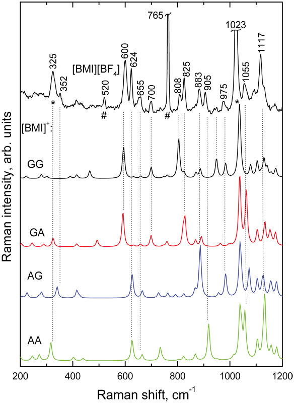 Interpretation of infrared and Raman spectra assisted by computational
