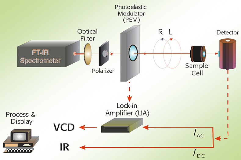 Absolute configuration determination of chiral molecules without