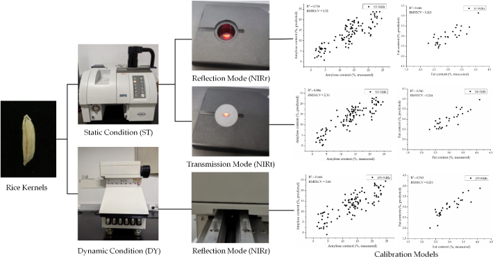 Schematic diagram of different platform-based methods for detecting composition of individual rice grains