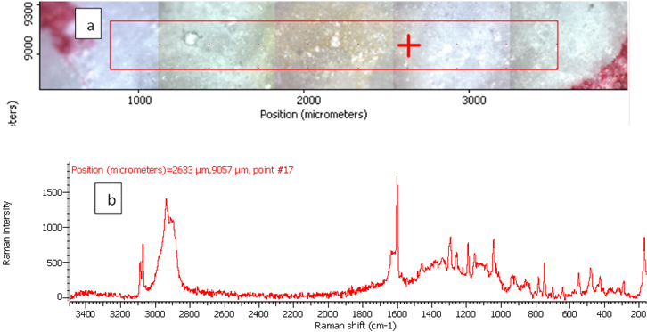 Raman photo surface and Raman spectrum for aspirin tablet after exposure to plasma flame for 50 s