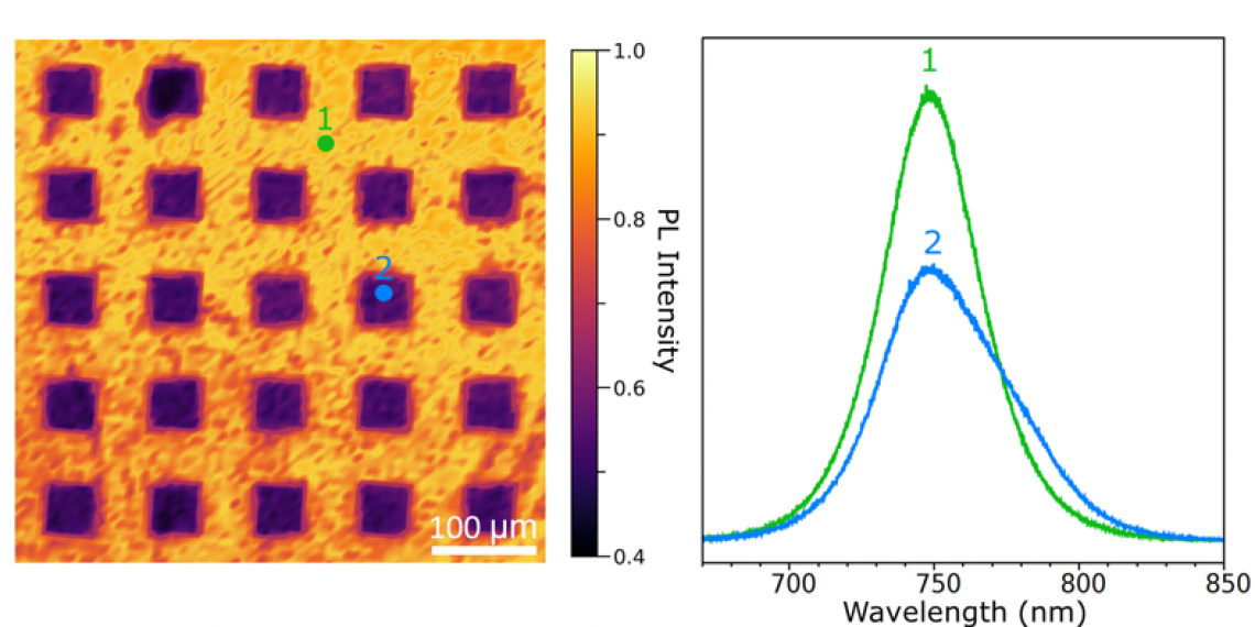 Imaging charge extraction in VACNT perovskite solar cells using