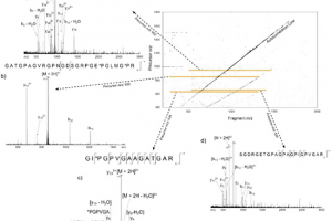 A 2DMS spectrum