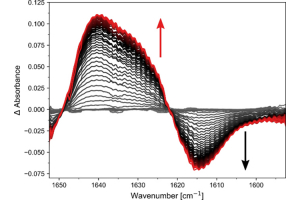 Time Resolved difference IR spectra