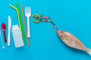 Photo of sources of microplastics and a fish on a blue background