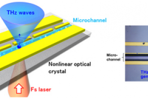 Schematic diagram and photograph of the newly developed terahertz biochemical chip