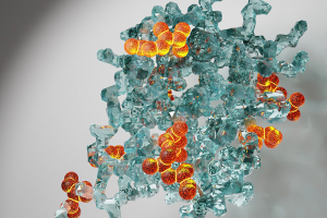 Drawing of of protein structures