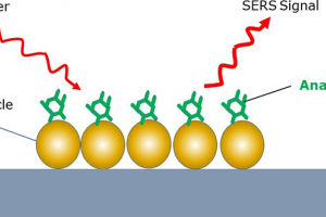 Schematic of the Nikalyte gold nanoparticle SERS substrate