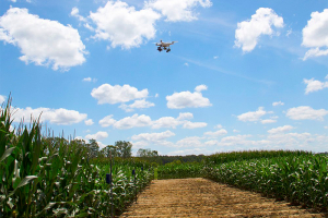 Photo of a drone above crops