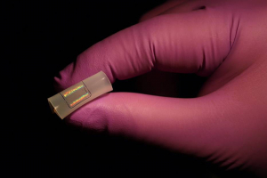Photo of the SERS sensor held between gloved fingers.