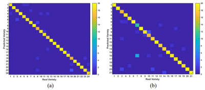 Heat maps of the confusion matrices of wheat and rice sample sets identified by the neural network