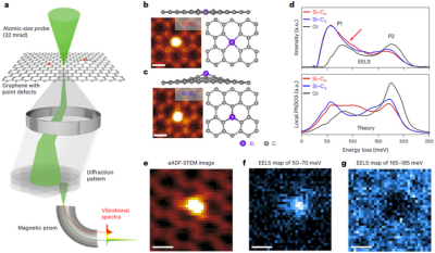 Vibrational spectroscopy of substitutional Si impurities in graphene
