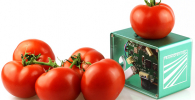 A compact food scanner based on NIR spectroscopy will help avoid unnecessary food waste. © Fraunhofer IOSB