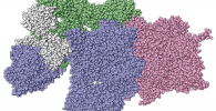 Depiction of protein complexes. Image: University of Texas at Austin Depiction of protein complexes