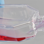 Photo of cell culture bottle