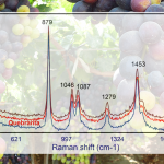 Raman spectra overlayed on photos of grapes and a bottle of Pisco