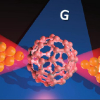 An illustration of a single-molecule transistor (SMT) with a bowtie antenna structure. S, D and G denote the source, drain and gate electrodes of the SMT, respectively. A single molecule is captured in the created nanogap. Credit: 2018 Kazuhiko Hirakawa, Institute of Industrial Science, The University of Tokyo