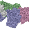 Depiction of protein complexes